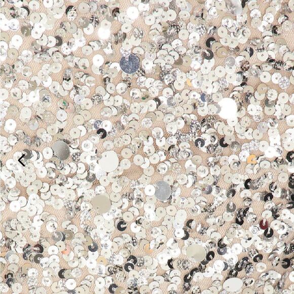 NWT Lovers and Friends CRYSTAL SEQUIN CROPPED TOP silver blouse Revolve S - Picture 5 of 11